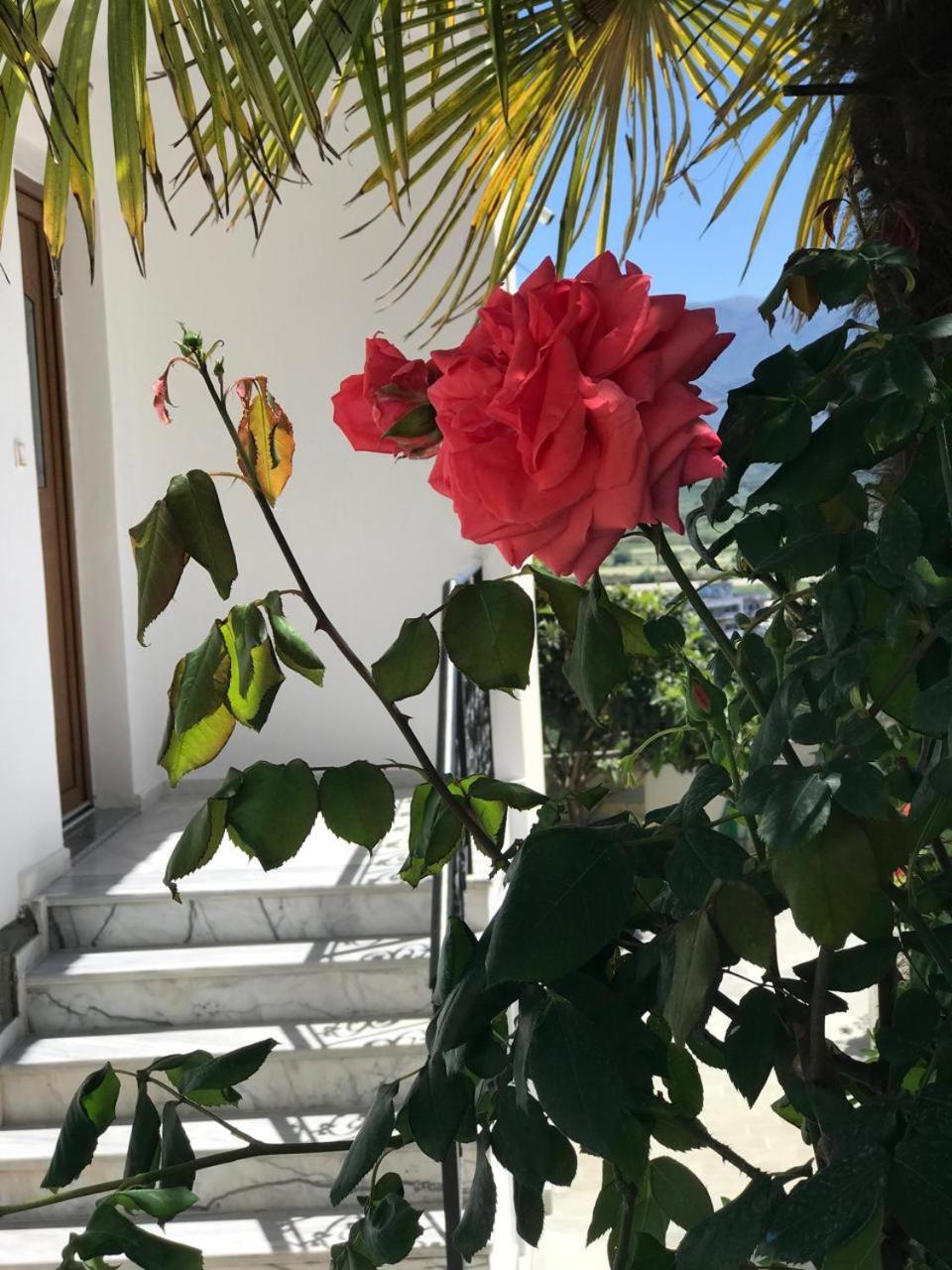 Villa Qeli Gjirokastër Exterior foto